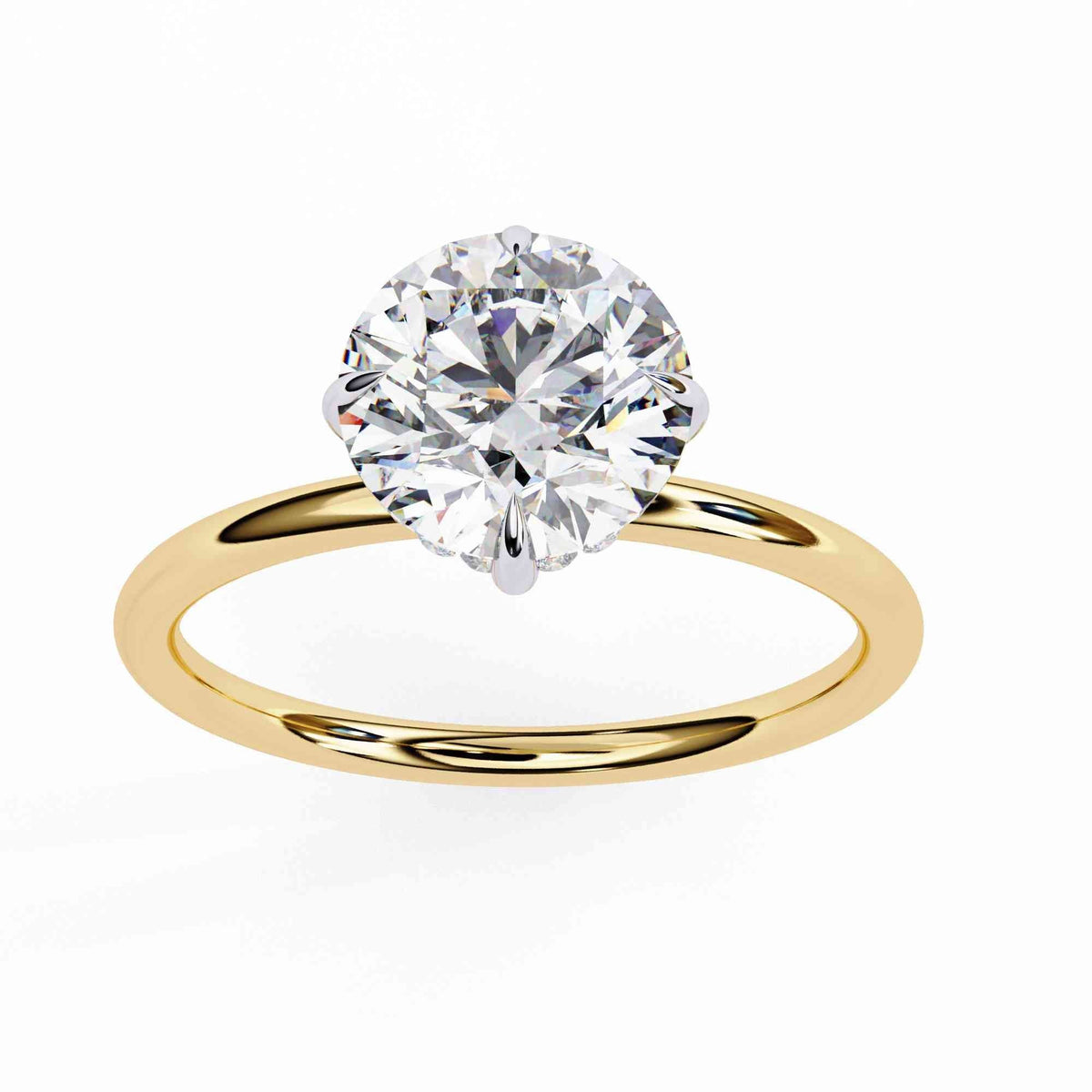 The Sylvie Marquise Eternity Edition 5 Band